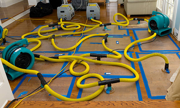 Professional Basement Flood Cleanup technician working in Ridgewood, NY